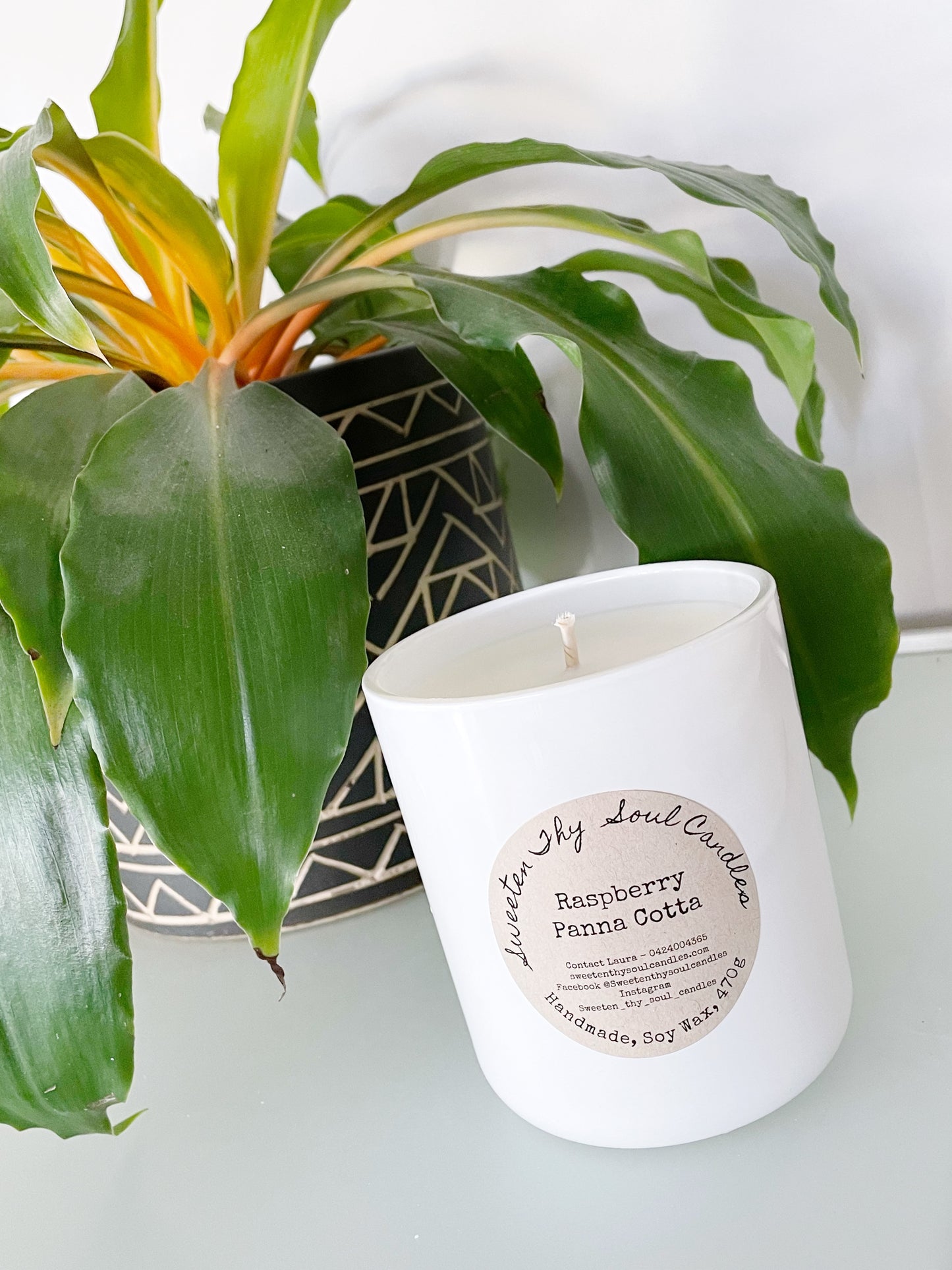 Raspberry Panna Cotta 470g soy candle- SMALL BATCH